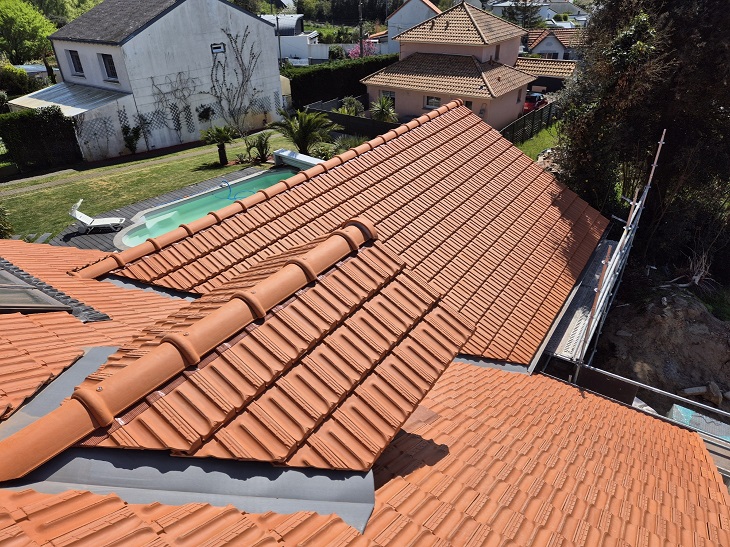 Pose de fenêtre - chien assis